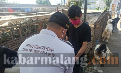 IMG 20200728 181626