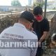 Jelang Idul Adha, 5900 Hewan Kurban Dinyatakan Layak Jual 39 IMG 20200728 181626
