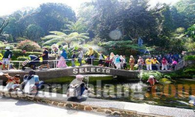 IMG 20200904 134412