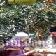 IMG 20200906 130445