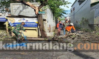IMG 20200913 141930