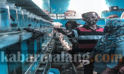 IMG 20200916 100526