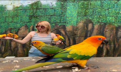 IMG 20200923 211115