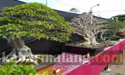 IMG 20200926 143544