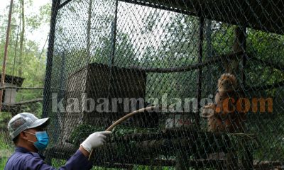 IMG 20200929 134934