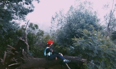 IMG 20201004 WA0002