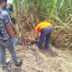 Hilang 50 Hari, Nenek Di Pagelaran Tinggal Tengkorak 47 IMG 20201023 WA0089
