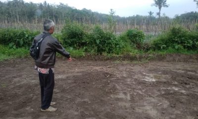 IMG 20201024 WA0078 e1603594425623
