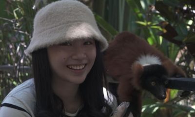 IMG 20201031 WA0038 e1604123102819