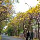 IMG202010221118144