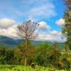 Pemkot Batu Bakal Ukur Tapal Batas Wilayahnya 65 IMG 20201009 125110