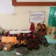 IMG 20201015 132434