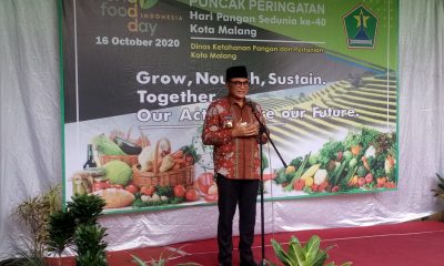 IMG 20201016 084801