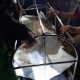 Tewas Terpanggang, Sempat Bakar-Bakar Daun Tebu