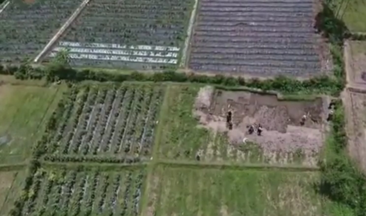 Penggalian Liar di Situs Tajinan Dikecam 26 Screenshot 20201023 135234 Chrome e1603439576476