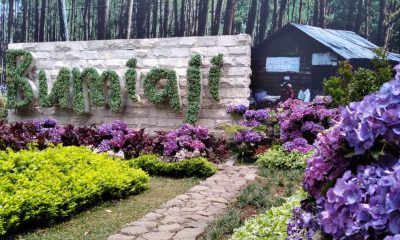 arul bumiaji e1602389228463