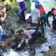arul normalisasi irigasi