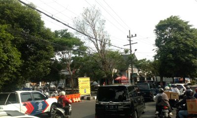 IMG 20201109 145423
