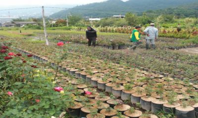 IMG 20201117 120928
