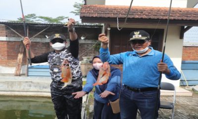 IMG 20201121 062317