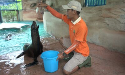 IMG 20201218 WA0062