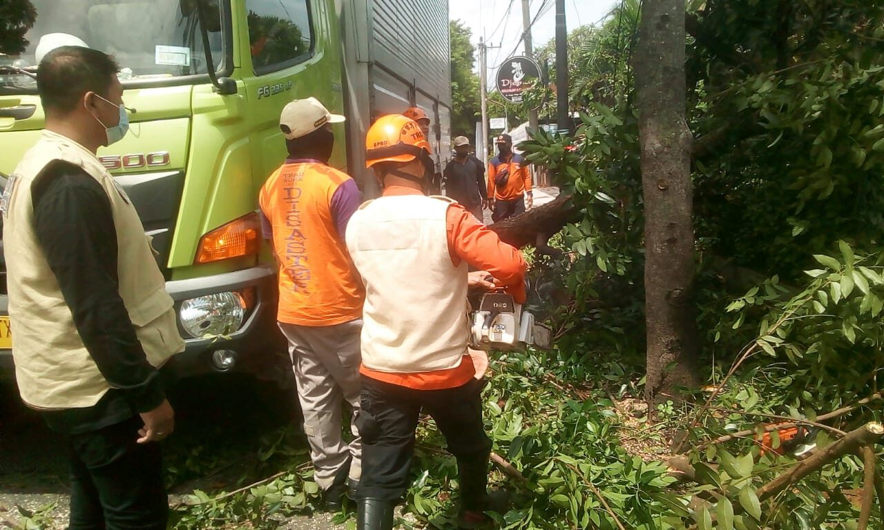Cuaca Memburuk, 15 Pohon Besar Tumbang 26 IMG 20201228 WA0019 e1609146074630