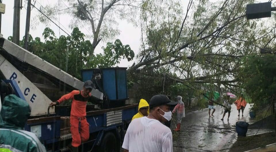 Pohon Tumbang Di Villa Bukit Tidar, Cuaca Malang Sedang Ekstrem
