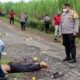 Carok Sumawe Tewaskan Dua Orang, Ternyata Sengketa Tanah Bengkok