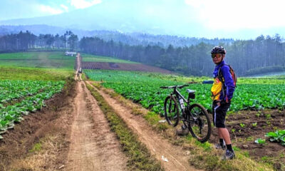 Bukit Jengkoang, Surganya Para Pesepeda dan Goweser Malang Raya