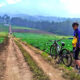 Bukit Jengkoang, Surganya Para Pesepeda dan Goweser Malang Raya 61 Bukit Jengkoang, Surganya Para Pesepeda dan Goweser Malang Raya