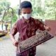 Ternak Madu Menjadi Bisnis Menjanjikan Saat Pandemi Covid-19