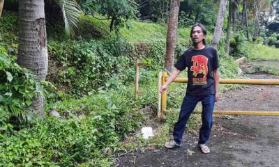 Satu Anjing Lembah Dieng Mati Setelah Makan Nasi Dari Netizen