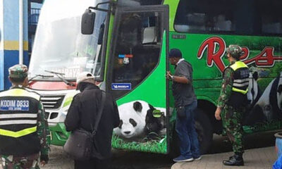 Operasi Tapal Batas, Koramil Blimbing Sweeping Bus Di Terminal