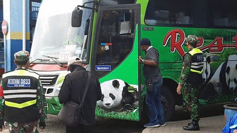 Operasi Tapal Batas, Koramil Blimbing Sweeping Bus Di Terminal