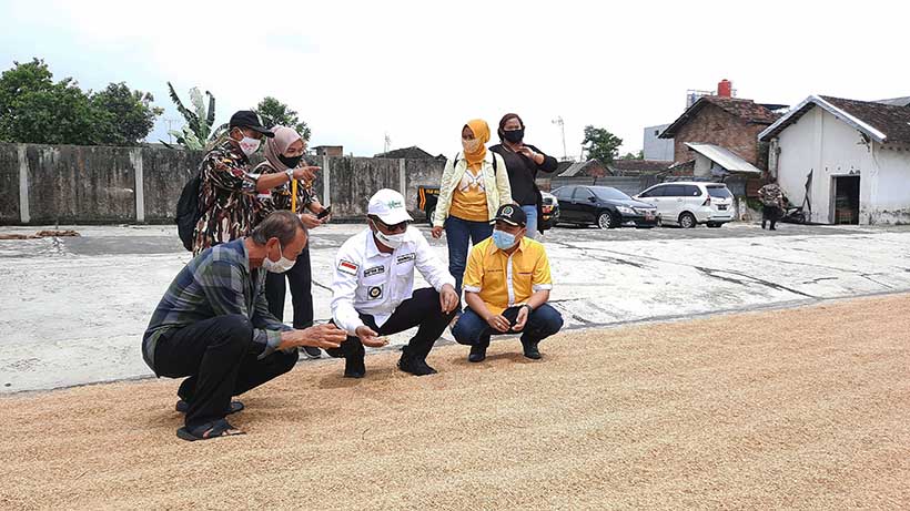 DPD Golkar Kota Malang Gelorakan Beli Beras Langsung Dari Petani