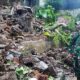Tembok Pembatas Kampung Tirtagangga Samaan Kota Malang, Ambrol