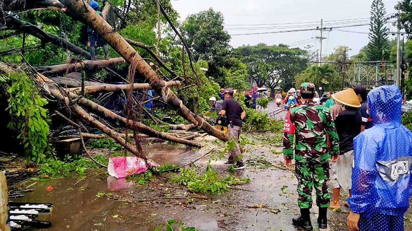 Badai Di Jembatan Mergan Malang, Pengendara Motor Tertimpa Pohon 28 Badai Di Jembatan Mergan Malang, Pengendara Motor Tertimpa Pohon