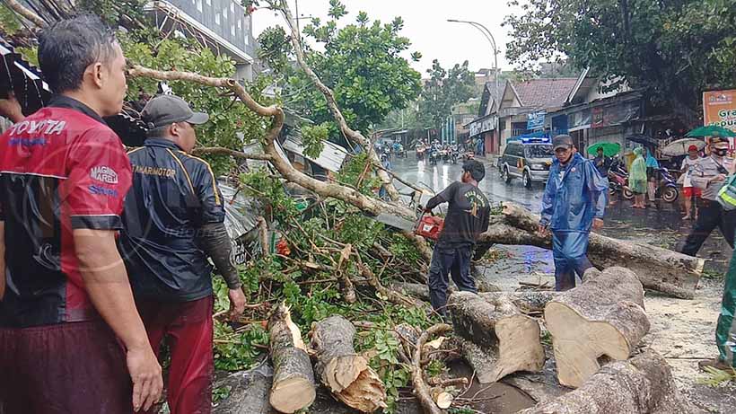Badai Di Jembatan Mergan Malang, Pengendara Motor Tertimpa Pohon