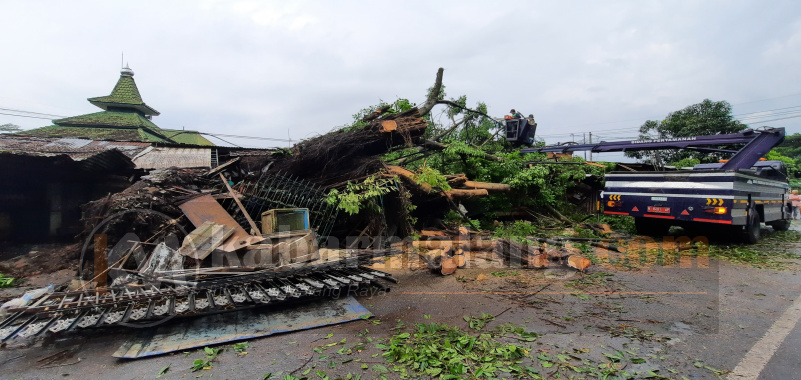 Puting Beliung Hempas Pohon Besar Hancurkan 4 Kios di Janti Malang 27 Penanganan pohon tumbang di Gedung Dinsos UPT Rehabilitasi Bina Sosial Tuna Netra (Fathi)