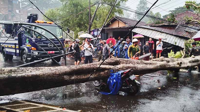 Badai Di Jembatan Mergan Malang, Pengendara Motor Tertimpa Pohon 27 Badai Di Jembatan Mergan Malang, Pengendara Motor Tertimpa Pohon