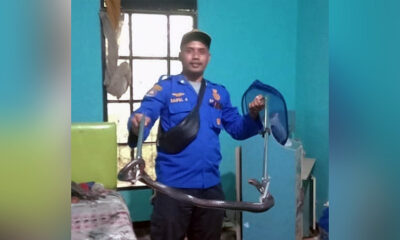 Damkar Jadi Pawang Hewan, Pernah Evakuasi Ular Sampai Biawak