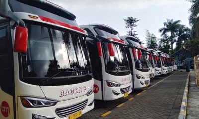 Wacana Larangan Mudik, Pengusaha Transportasi Legowo