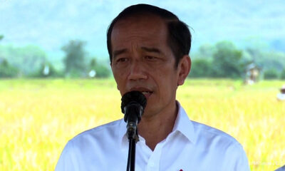 Jokowi Apresiasi Padi Varietas IPB 3S di Kanigoro Pagelaran Malang