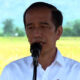 Jokowi Apresiasi Padi Varietas IPB 3S di Kanigoro Pagelaran Malang