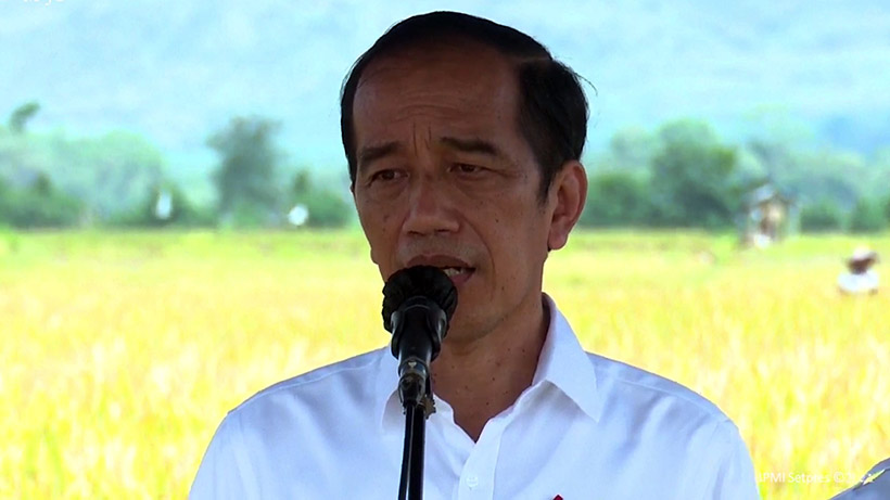 Jokowi Apresiasi Padi Varietas IPB 3S di Kanigoro Pagelaran Malang
