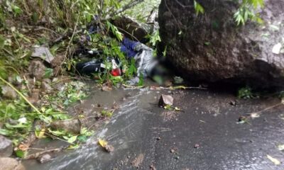 Info Gempa Terbaru Malang, Tujuh Orang Meninggal, Laporan BNPB