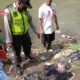 Penemuan Bayi Di Tepi Sungai Brantas Gegerkan Warga Kendalpayak