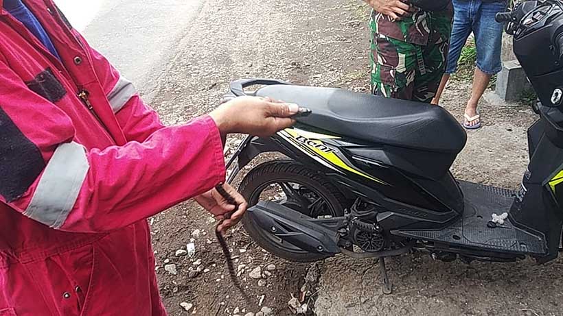 Ular Masuk Motor Jadi 'Tren', Pengendara Wanita Di Malang Alami Ini 27 IMG 20210624 WA0007