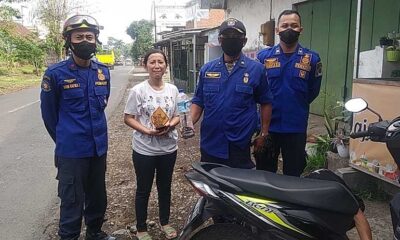 Ular Masuk Motor Jadi 'Tren', Pengendara Wanita Di Malang Alami Ini