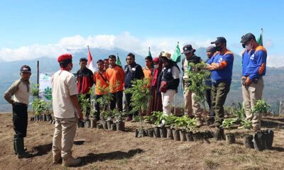 Pemuda Muhammadiyah Di Jawa Timur Serentak Tanam Ribuan Pohon